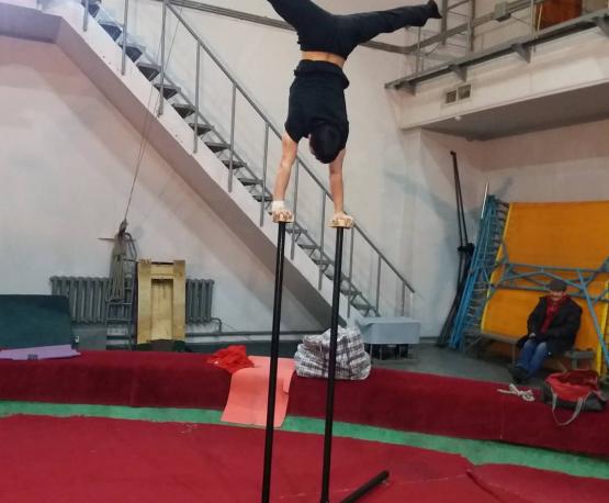 cirk_13
